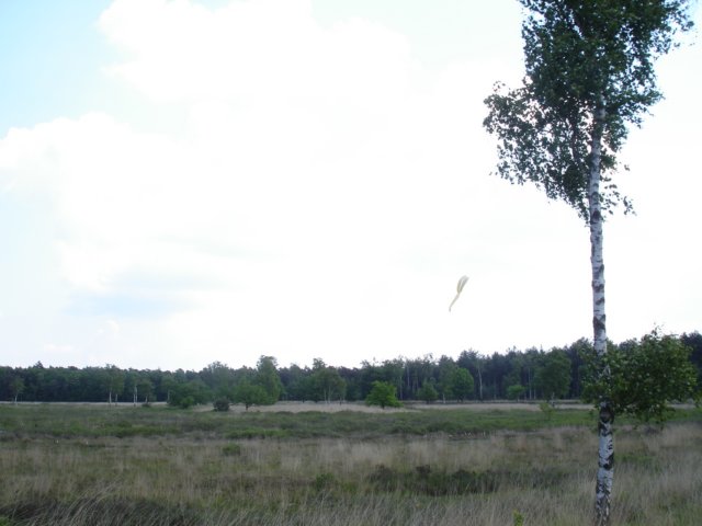 HWK 2009 140.jpg
